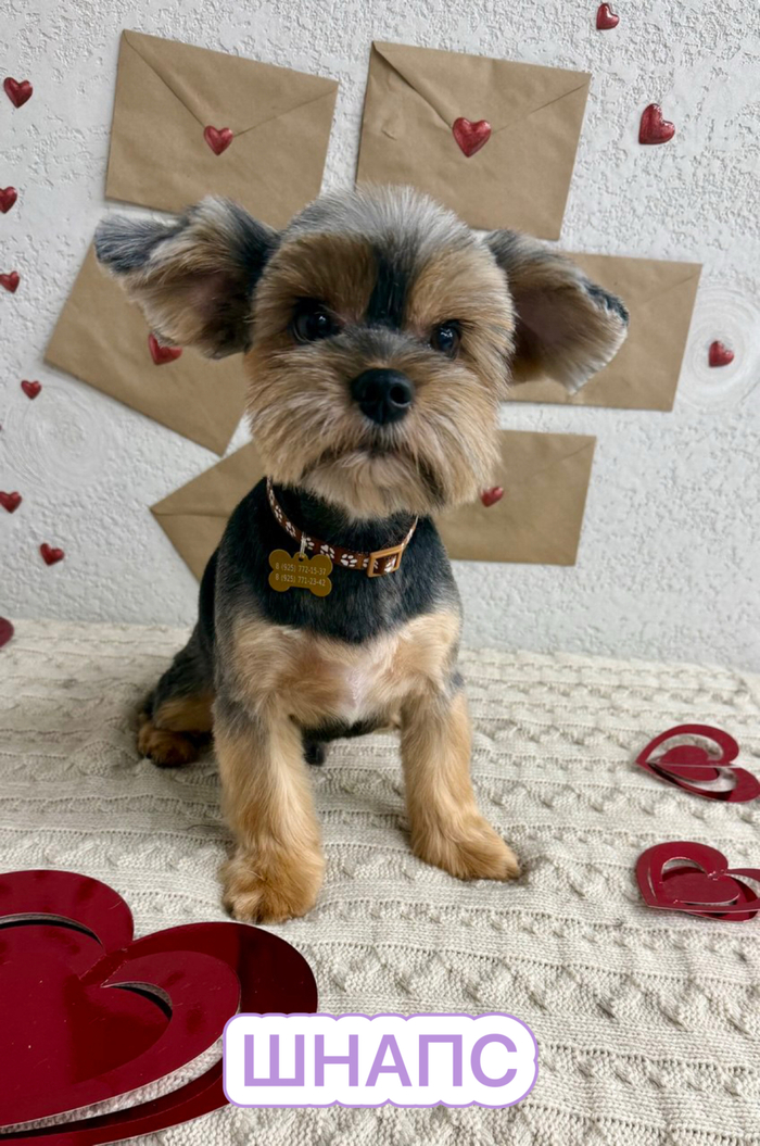 ����� ����������, ����������� � ����� ������ ���!