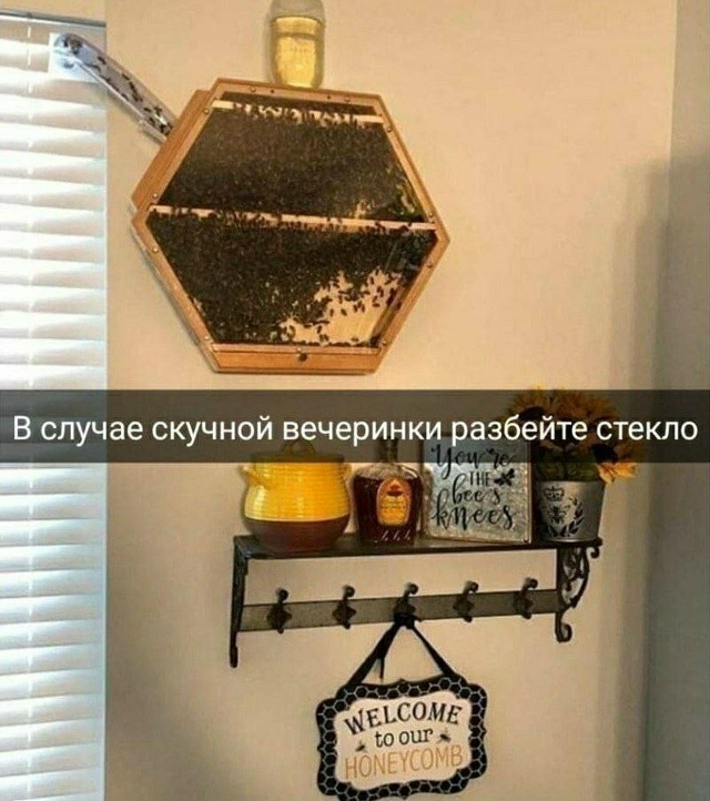 � �������� ����