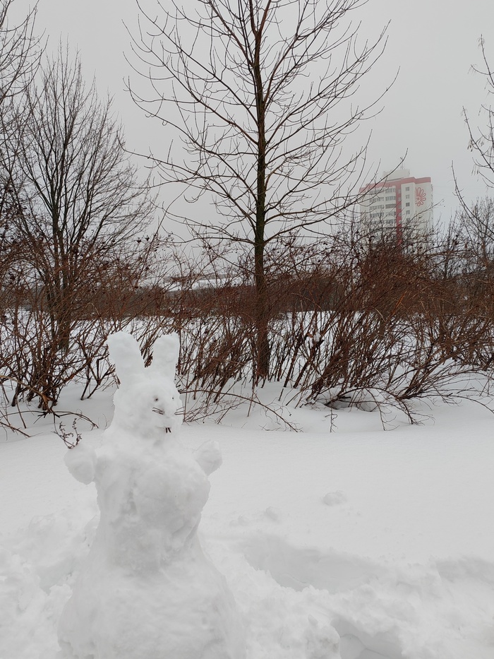 ��������� ���� ����