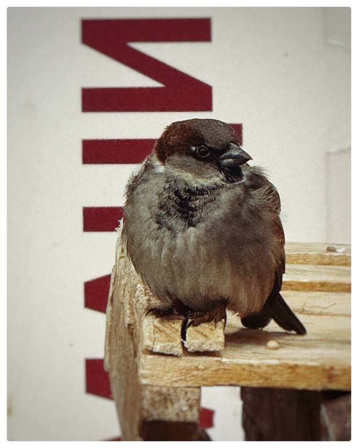 �� ��� �����?!