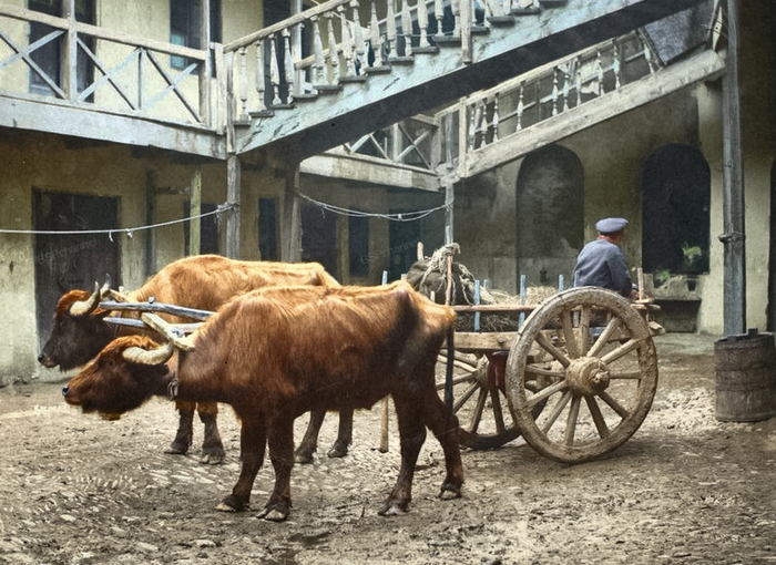 Фотограф: Дмитрий Ивановича Ермаков