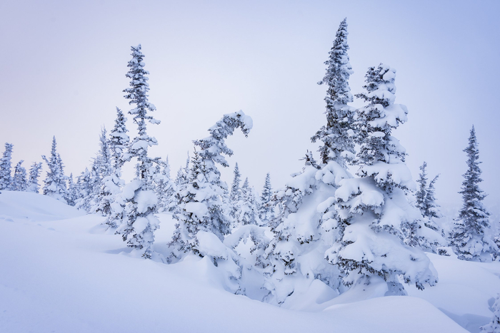 Фото: Ева Кострома <a href="https://pikabu.ru/story/zimniy_les_13739833?u=https%3A%2F%2Frtraveler.ru%2Fphoto%2F1481694%2F%3Feditorial_photos%3D1&t=%D0%BE%D1%82%D1%81%D1%8E%D0%B4%D0%B0&h=dd7fb35d4be1d6b79e4920fb5f64381b8c8d0101" title="https://rtraveler.ru/photo/1481694/?editorial_photos=1" target="_blank" rel="nofollow noopener">отсюда</a>