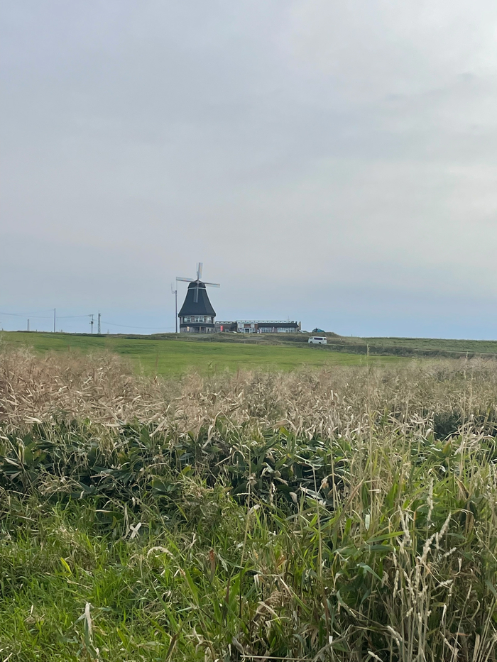 �������� � �������� �����, ������ ����� ������ ���������� ��� ���� ��� �����.