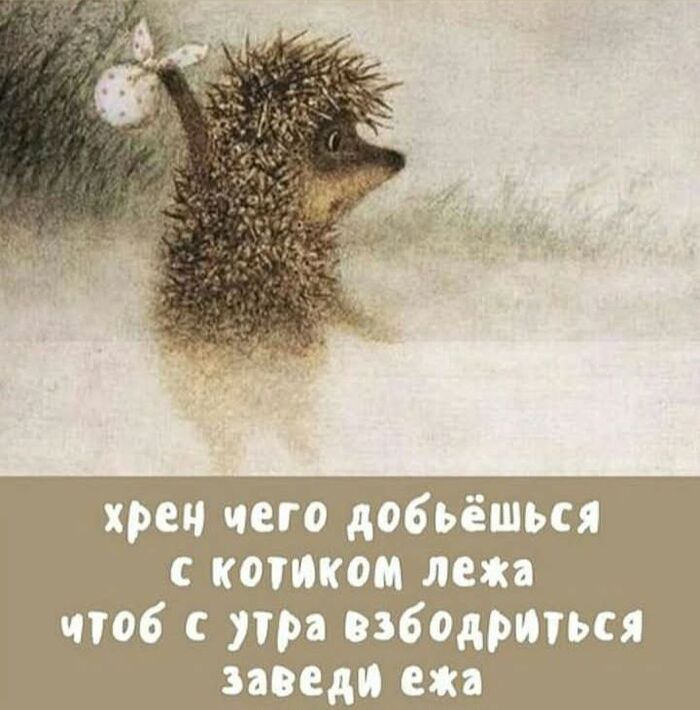 ��� ������