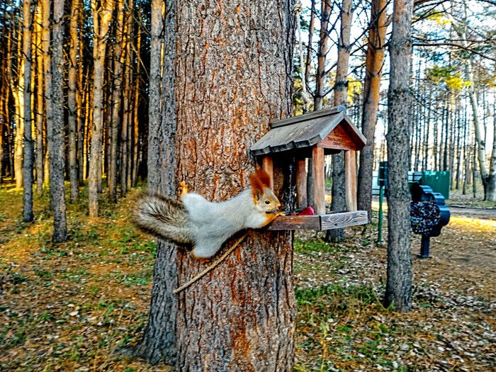 ����� ������� �� ����