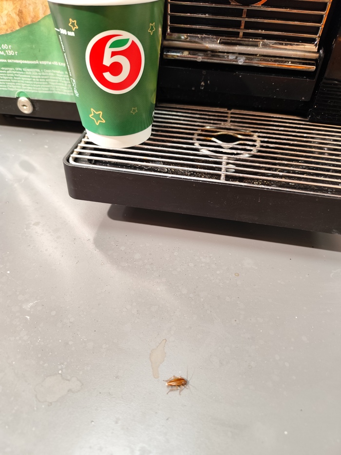 Ответ на пост «А теперь в,, 5" тоже не смогу спокойно покупать выпечку!»