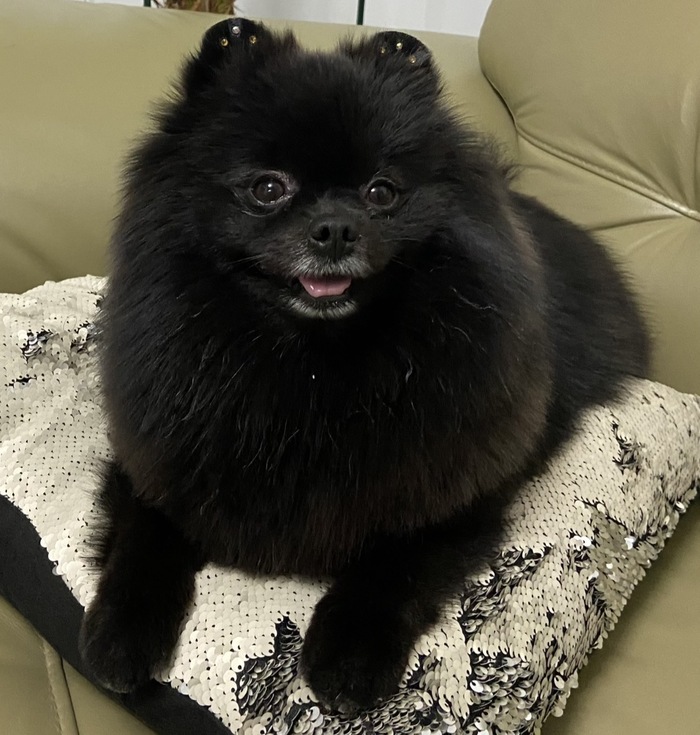 � ��� ������ ��� - ��������