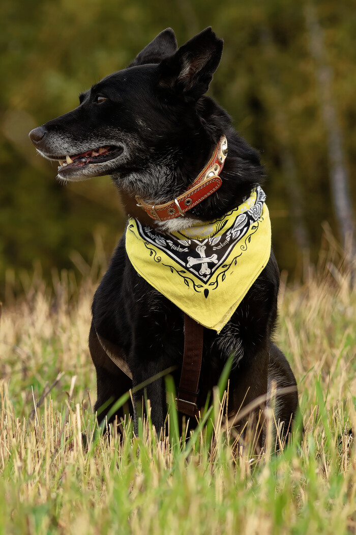 Одна из моих любимых фото.