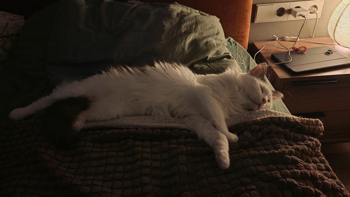 ������� ������� ��� ���������, ��� ����� ������ ���������