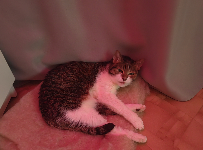 ������� ����� ���������� �� ����� �� �� ����� ���������