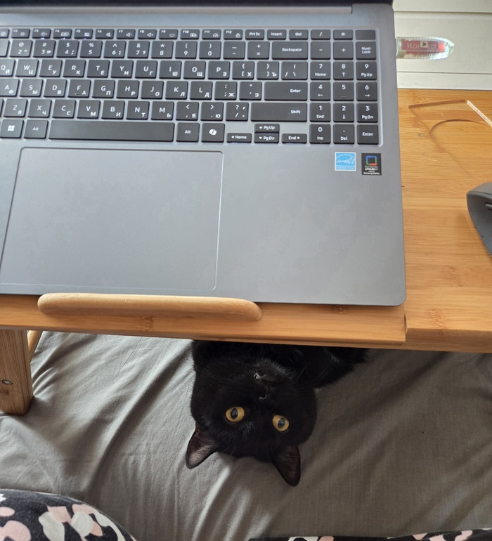 ����������� ��� ������ �� ����)