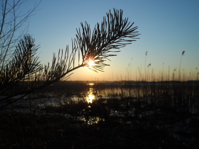 ������� �����.