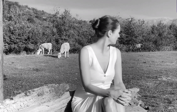 "��������" ��� ����� �������� �������. ���������� �����������