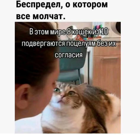 ������ � ���� ����� ���������, ��� ������� ���� ���� �������������