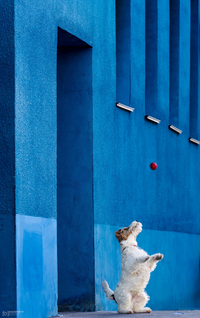 ������� �������