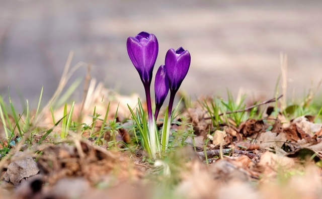 � ��������� ����� ����� �� ����, ����� ���� ��� � �� ��������� ���� �������. �������� ��������, � ��������� ������� �����������, ������ ��� ������� � ������ �����.