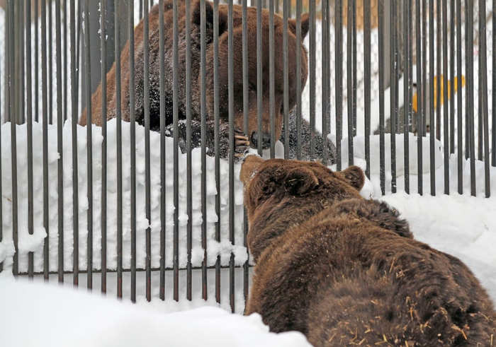 ���� � ��. �������� ��������