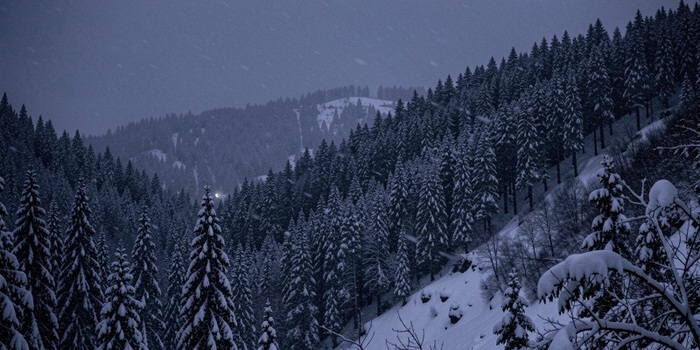 ����� �������, �������� ����: ��� ��������� � ��������� � ��������� �����?