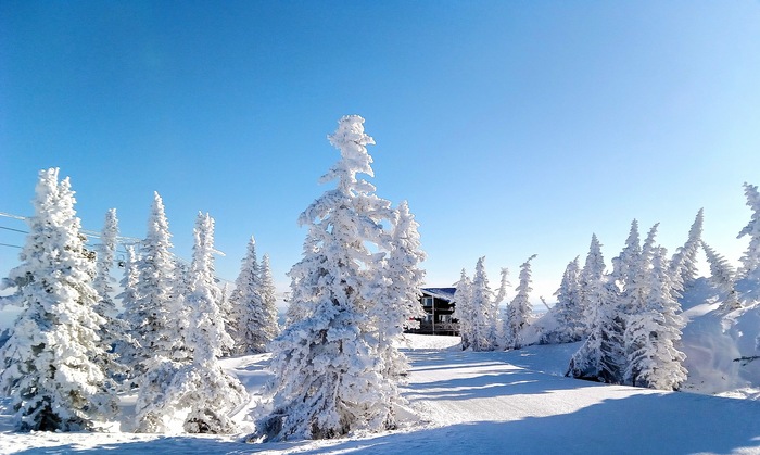 ���������� �����