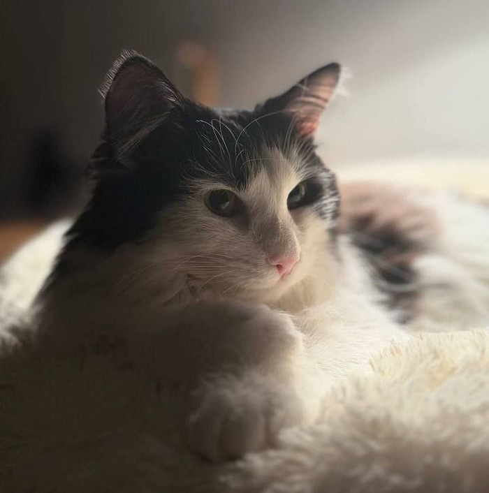 ��� ���� ��� ���, � ���� ���� ���