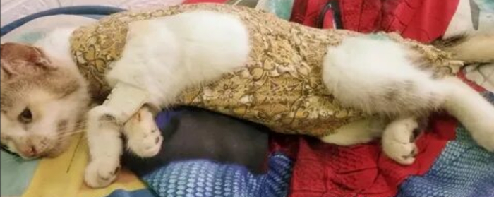 � ����� �����! ������ �������� �� ����� ����