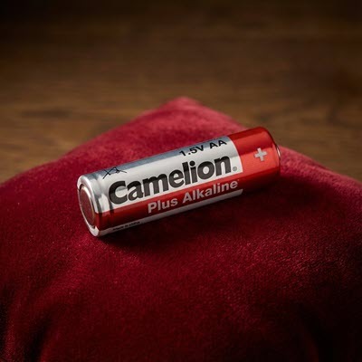 Camelion