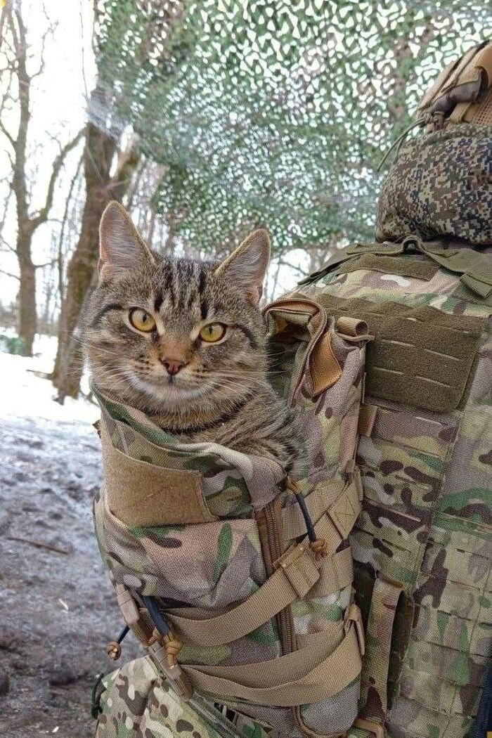 Главный по разведке