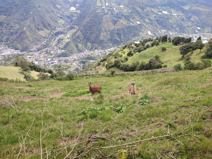 ����. �� ��� �����