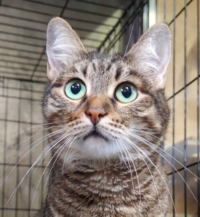 �� ������ ��������