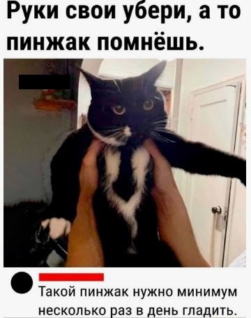 ������ ���