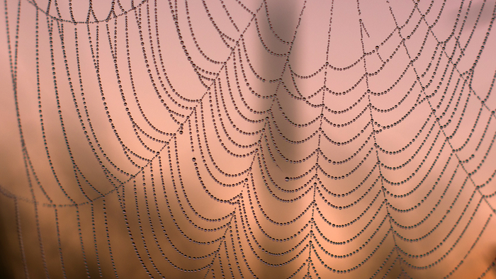 �� ��������