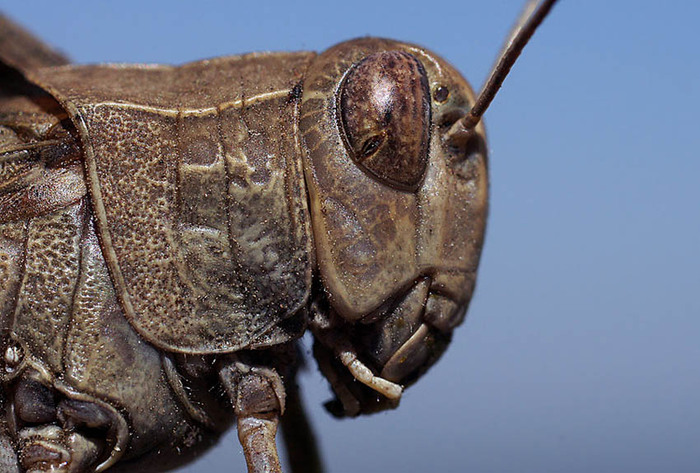 � ��������