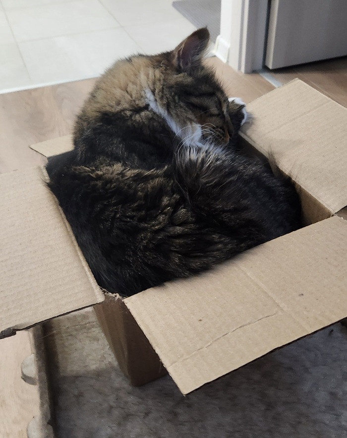 Ежедневный Рислинг #219