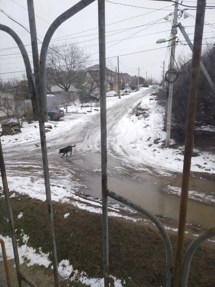 ��� �� � ������ ����