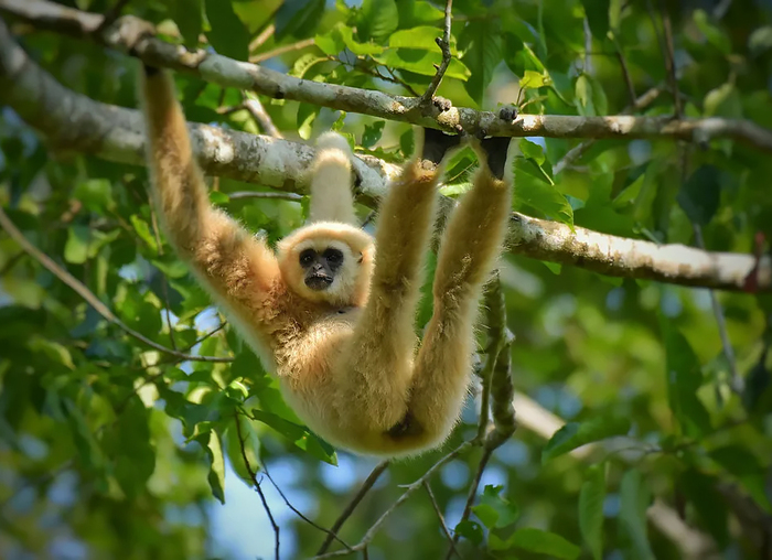 ���� � �������� ����������� � � ������� ���� ������ ����� ����!