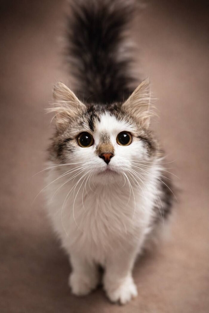 ������� � ������ ����