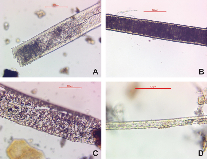 ���������������� ��������� ����� ������������� �� ����������