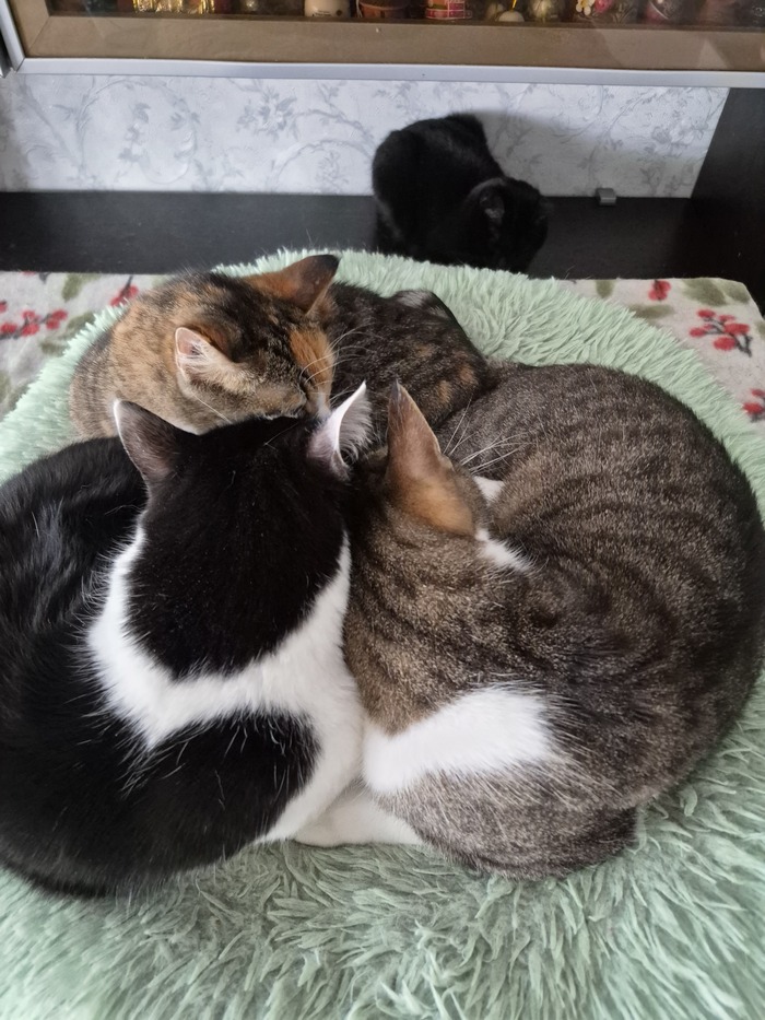 Вместе теплей