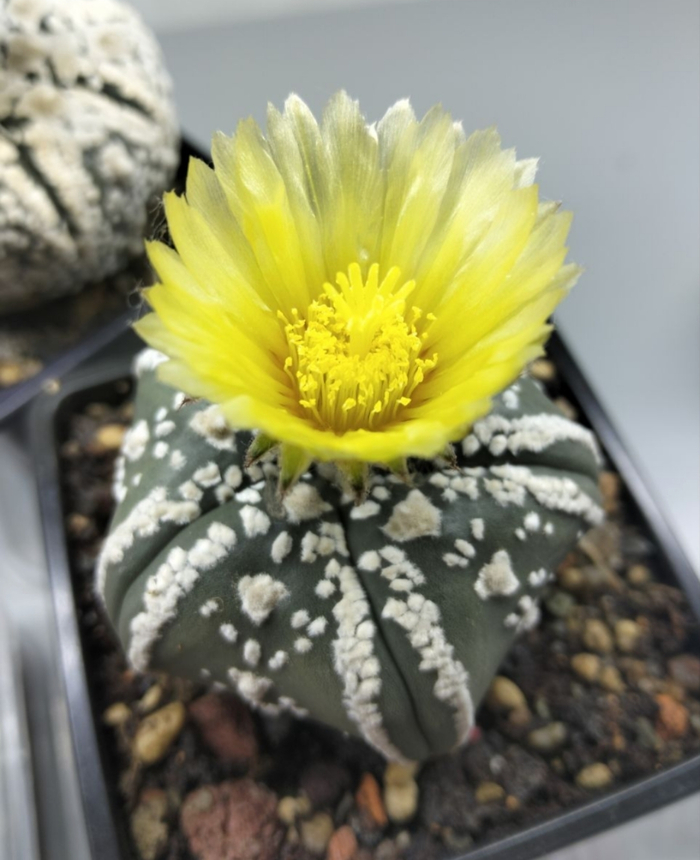 ��� ������ ������!