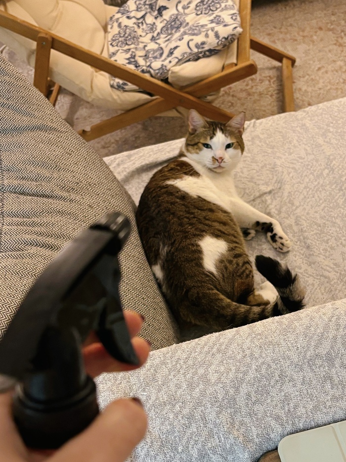 Приговорён к расстрелу за воровство колбасы и коварные манипуляции