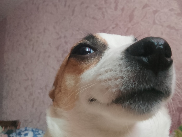 Тридцать три