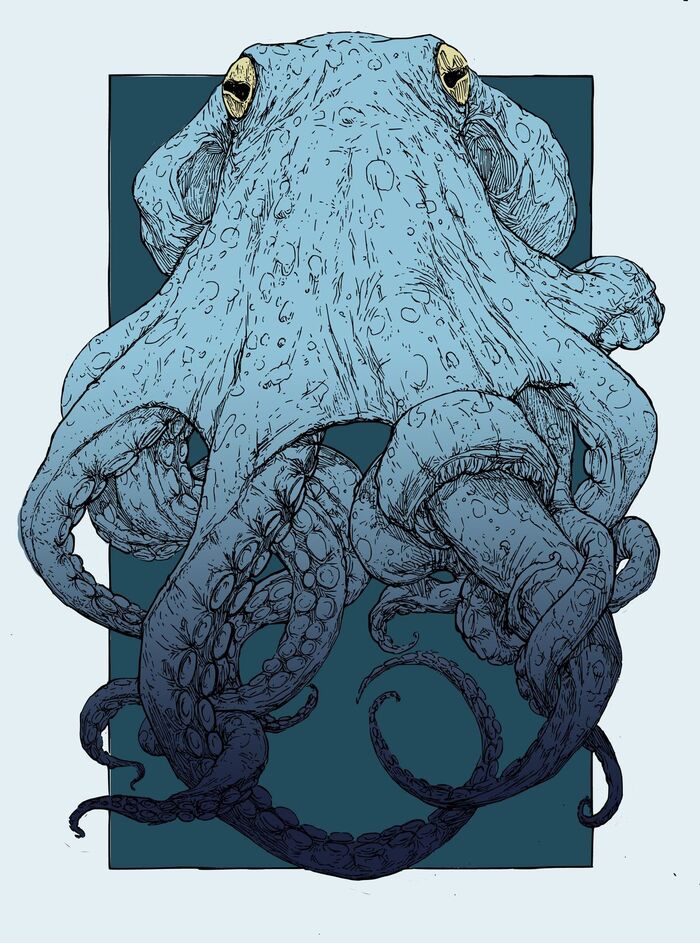 ������� ���������