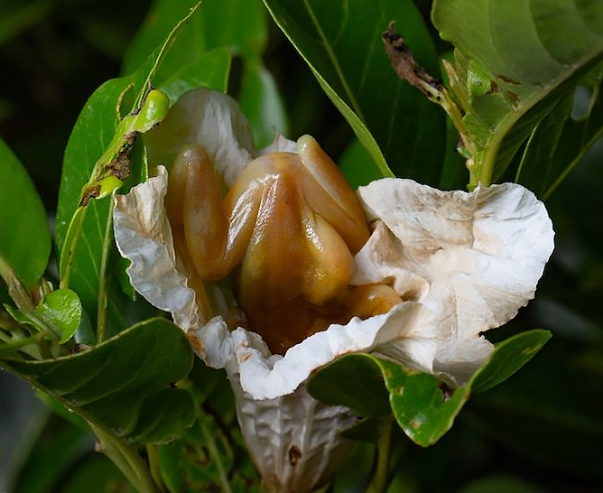 ��������� �� ��������