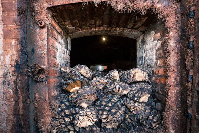 �������� ���� ����� (horno)