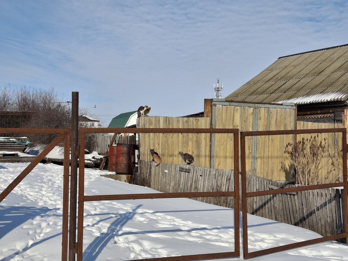 ���� �� �����...