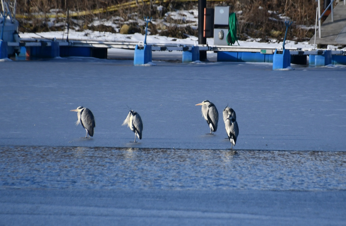 ������, �����, ������. ��� 5 ����� � � ���� �������� �����, � ��� �������!