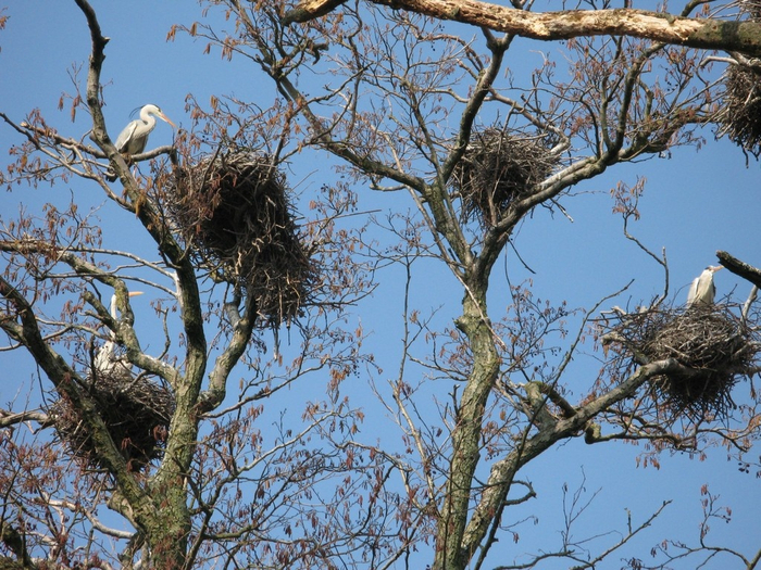 ������ ������ �� ����� ������ ����.