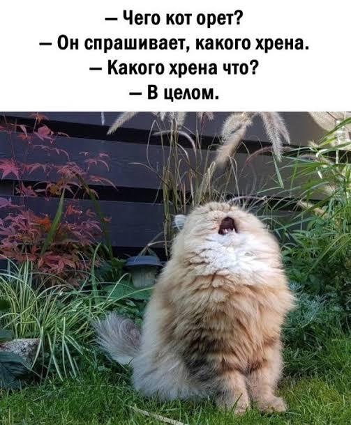 ����� Nistrenia � �"�� �� ���� ������"�