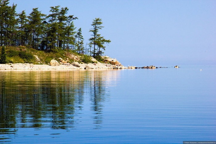 ������� �������. ����: ���� �������� 