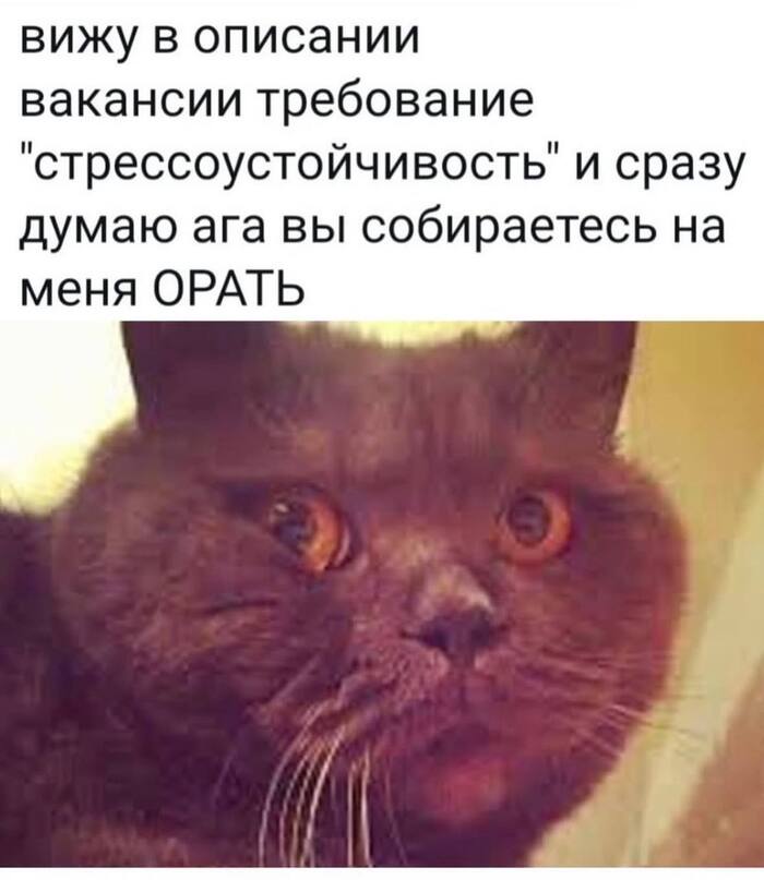 Да собираются